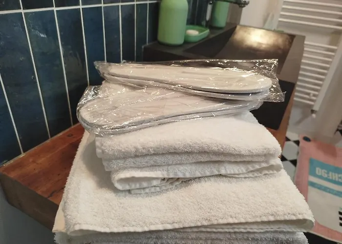 Suite Retro 80S 90S Grande Baignoire Et Jardin Clermont-Ferrand